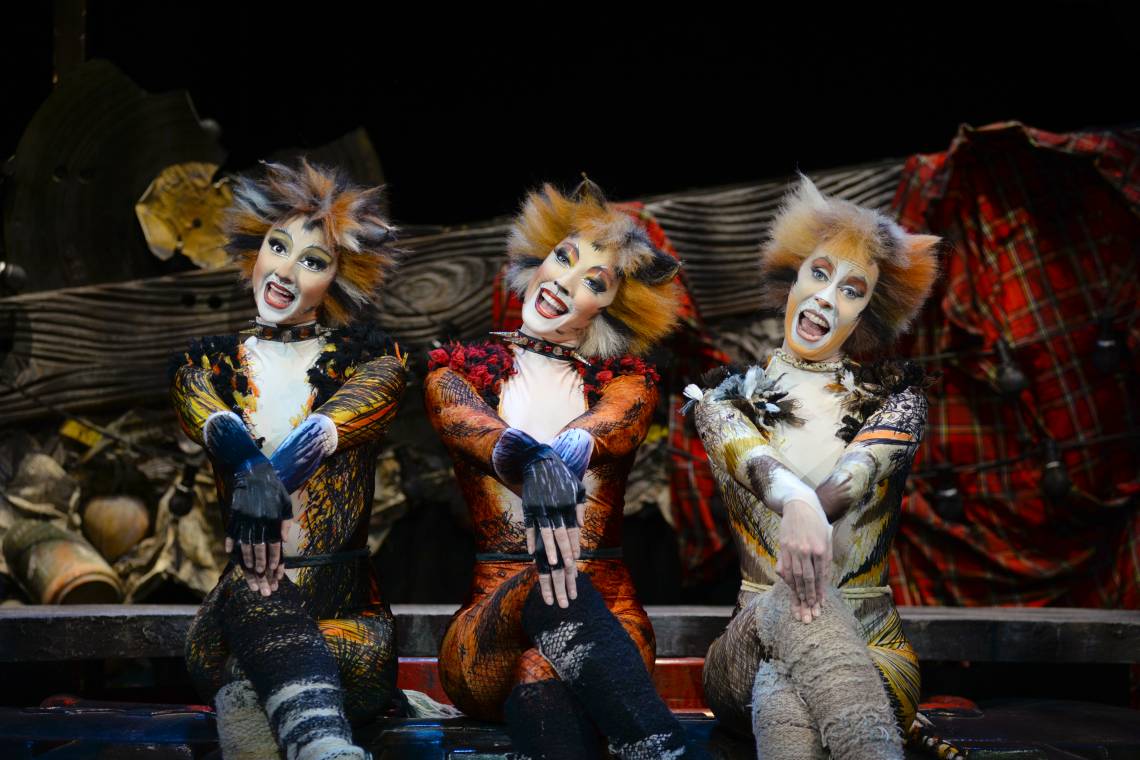 Darstellerinnen des Musicals CATS © Alessandro Pinn